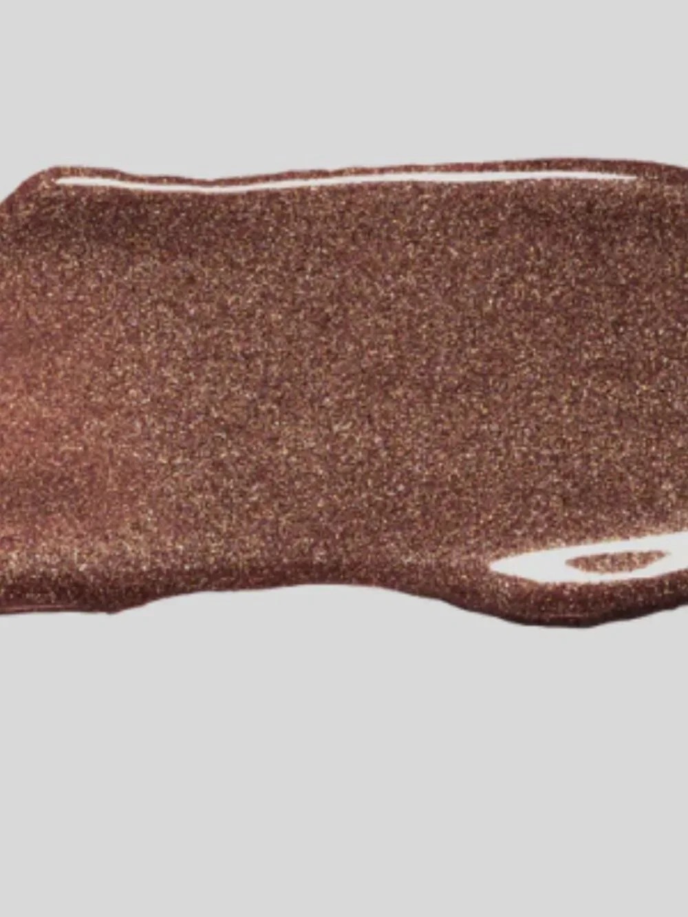NWT Ofra Lip Gloss in “Truffle” (0.21 oz)